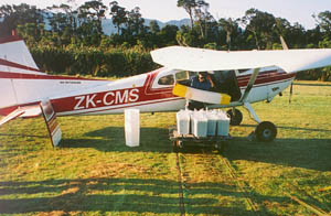 Cascade Whitebait can reach their end destination within 24 hours